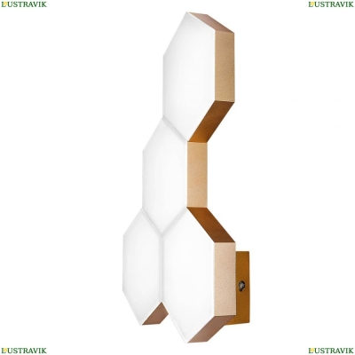 Светильник 750641 ★Lightstar, 1 x 20Вт☀, Золото► — Купить▼