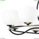 Люстра 762117 ★Lightstar, 11 x 40Вт☀, Черный► — Купить▼