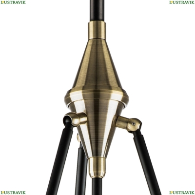 Светильник 816037 ★Lightstar, 3 x 40Вт☀, Черный► — Купить▼
