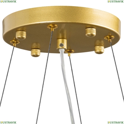 Люстра 816102 ★Lightstar, 10 x 40Вт☀, Золото► — Купить▼