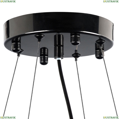 Люстра 816207 ★Lightstar, 20 x 40Вт☀, Черный► — Купить▼