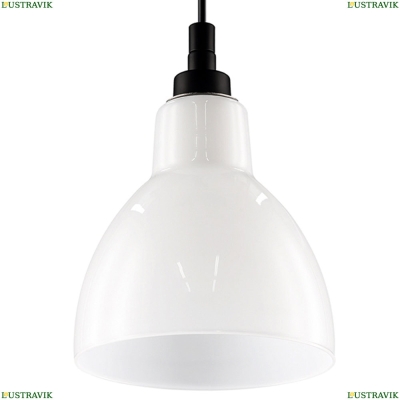Светильник 865017 ★Lightstar, 1 x 40Вт☀, Черный► — Купить▼