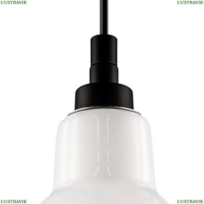 Светильник 865017 ★Lightstar, 1 x 40Вт☀, Черный► — Купить▼