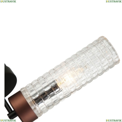 Бра 2567-1W ★ Favourite Flumen — купить в интернет магазине ЛЮСТРАВИК ☀