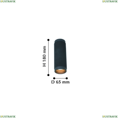 Светильник 2452-1C ★ Favourite Kinescope — купить в интернет магазине ЛЮСТРАВИК ☀