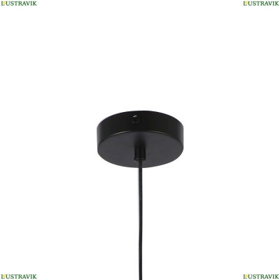 Светильник 2784-1P ★ F-Promo Blister — купить в интернет магазине ЛЮСТРАВИК ☀