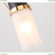 Бра 2558-1W ★ F-Promo Viator — купить в интернет магазине ЛЮСТРАВИК ☀