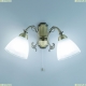 Бра CL413421 ★ Citilux — купить в интернет магазине ЛЮСТРАВИК☀