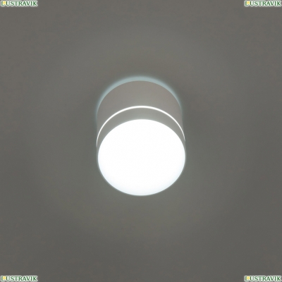 Светильник CL745020N ★ Citilux — купить в интернет магазине ЛЮСТРАВИК☀