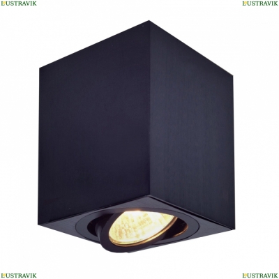 Светильник CL538213 ★ Citilux — купить в интернет магазине ЛЮСТРАВИК☀