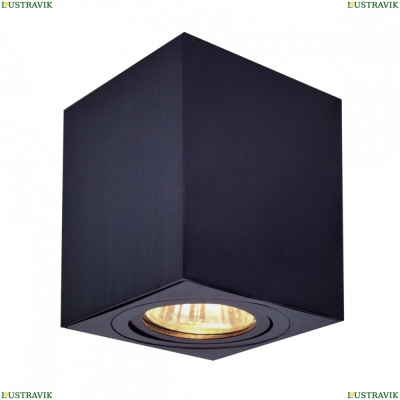 Светильник CL538213 ★ Citilux — купить в интернет магазине ЛЮСТРАВИК☀