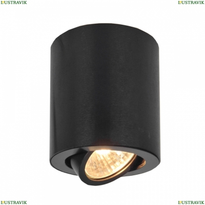 Светильник CL538113 ★ Citilux — купить в интернет магазине ЛЮСТРАВИК☀