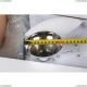Люстру OML-55913-06 ★ Omnilux — купить в интернет магазине ЛЮСТРАВИК☀