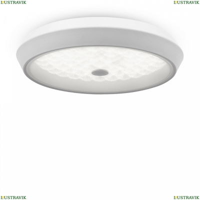 Светильник FR10012CL-L24W ★ FREYA — купить в интернет магазине ЛЮСТРАВИК☀