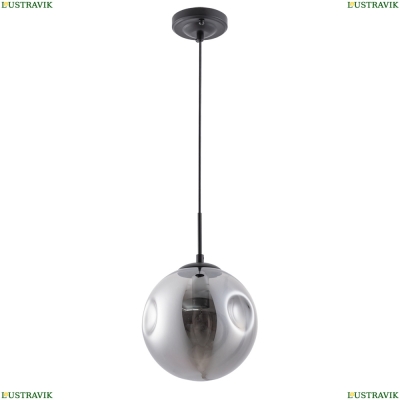 Светильник A9920SP-1BK ★ Arte lamp — купить в интернет магазине ЛЮСТРАВИК☀