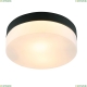 Светильник A6047PL-2BK ★ Arte lamp — купить в интернет магазине ЛЮСТРАВИК☀