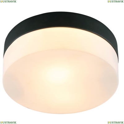 Светильник A6047PL-1BK ★ Arte lamp — купить в интернет магазине ЛЮСТРАВИК☀