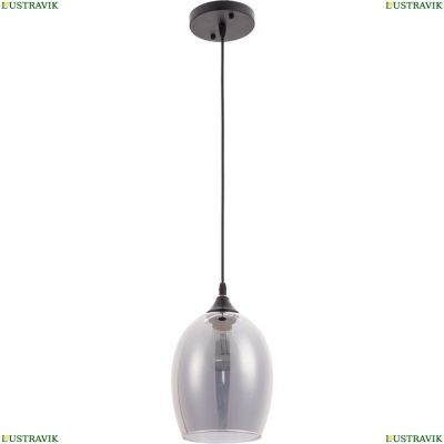 Светильник A4344SP-1BK ★ Arte lamp — купить в интернет магазине ЛЮСТРАВИК☀