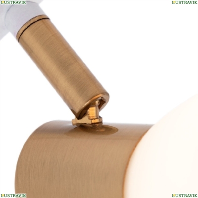 Спот A3117PL-4WH ★ Arte lamp — купить в интернет магазине ЛЮСТРАВИК☀