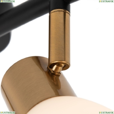 Спот A3117PL-4BK ★ Arte lamp — купить в интернет магазине ЛЮСТРАВИК☀
