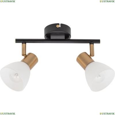 Спот A3117PL-2BK ★ Arte lamp — купить в интернет магазине ЛЮСТРАВИК☀
