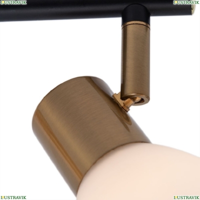 Спот A3117PL-2BK ★ Arte lamp — купить в интернет магазине ЛЮСТРАВИК☀