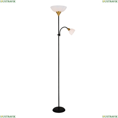 Торшер A9569PN-2BK ★ Arte lamp — купить в интернет магазине ЛЮСТРАВИК☀