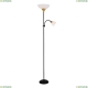 Торшер A9569PN-2BK ★ Arte lamp — купить в интернет магазине ЛЮСТРАВИК☀ Торшер A9569PN-2BK ★ Arte lamp — купить в интернет магазине ЛЮСТРАВИК☀