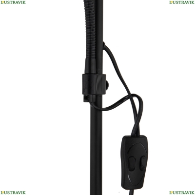 Торшер A9569PN-2BK ★ Arte lamp — купить в интернет магазине ЛЮСТРАВИК☀