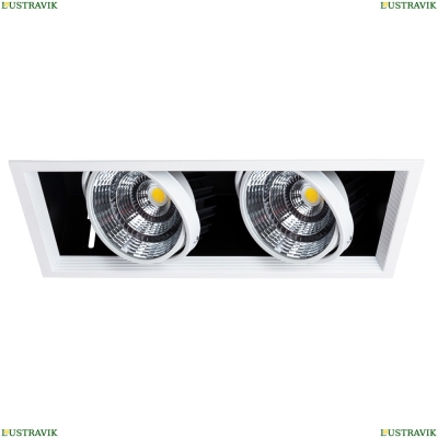 Светильник A8450PL-2WH ★ Arte lamp — купить в интернет магазине ЛЮСТРАВИК☀
