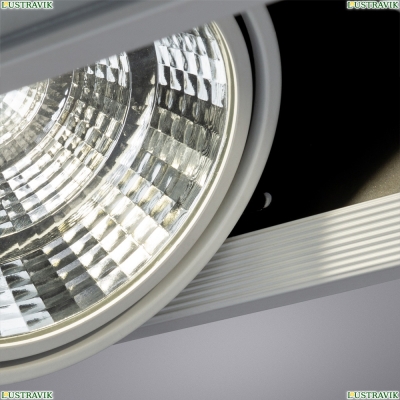 Светильник A8450PL-2WH ★ Arte lamp — купить в интернет магазине ЛЮСТРАВИК☀