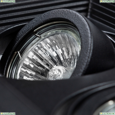 Светильник A6661PL-2BK ★ Arte lamp — купить в интернет магазине ЛЮСТРАВИК☀