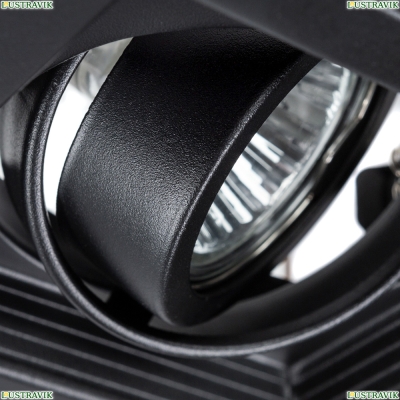Светильник A6661PL-1BK ★ Arte lamp — купить в интернет магазине ЛЮСТРАВИК☀