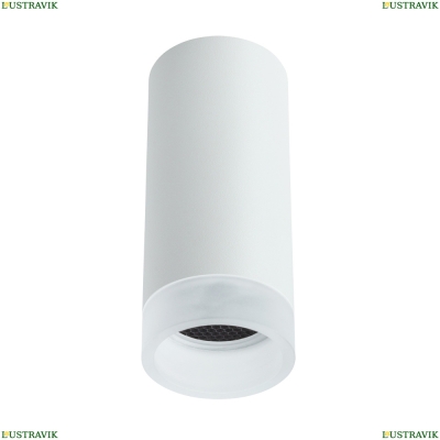 Светильник A5556PL-1WH ★ Arte lamp — купить в интернет магазине ЛЮСТРАВИК☀