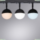 Светильник A4565PL-1BK ★ Arte lamp — купить в интернет магазине ЛЮСТРАВИК☀