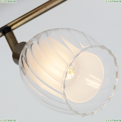 Спот A3184PL-4AB ★ Arte lamp — купить в интернет магазине ЛЮСТРАВИК☀