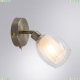 Спот A3184AP-1AB ★ Arte lamp — купить в интернет магазине ЛЮСТРАВИК☀