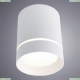 Светильник A1949PL-1WH ★ Arte lamp — купить в интернет магазине ЛЮСТРАВИК☀