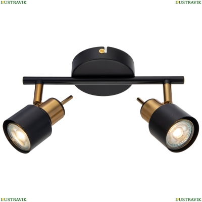 Светильник A1906PL-2BK ★ Arte lamp — купить в интернет магазине ЛЮСТРАВИК☀