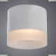 Светильник A5554PL-1WH ★ Arte lamp — купить в интернет магазине ЛЮСТРАВИК☀