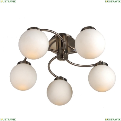 Люстру A8170PL-5SS ★ Arte lamp — купить в интернет магазине ЛЮСТРАВИК☀
