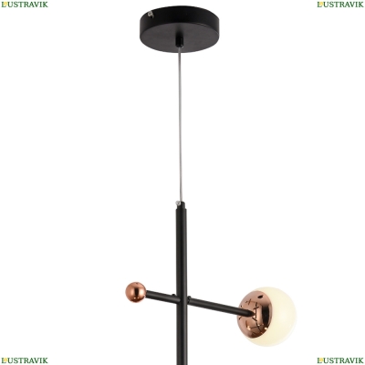 Светильник LED LAMPS 81338 GOLD BLACK ★ Natali Kovaltseva — купить в интернет магазине ЛЮСТРАВИК☀