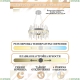 Люстру LED LAMPS 81255 ★ Natali Kovaltseva — купить в интернет магазине ЛЮСТРАВИК☀