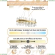 Люстру LED LAMPS 81250 ★ Natali Kovaltseva — купить в интернет магазине ЛЮСТРАВИК☀