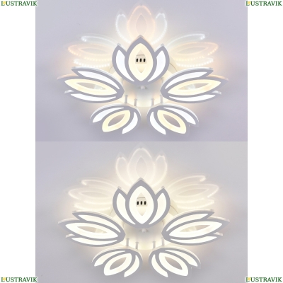 Люстру LED LAMPS 81124 ★ Natali Kovaltseva — купить в интернет магазине ЛЮСТРАВИК☀