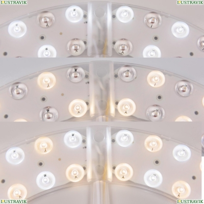 Люстра 19011/55IV/LED-DIM Ni ★ Bohemia Ivele Crystal — купить в интернет магазине «ЛЮСТРАВИК»☀