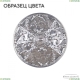Люстра AL16315/6/165 CG ★ Bohemia Ivele Crystal — купить в интернет магазине «ЛЮСТРАВИК»☀