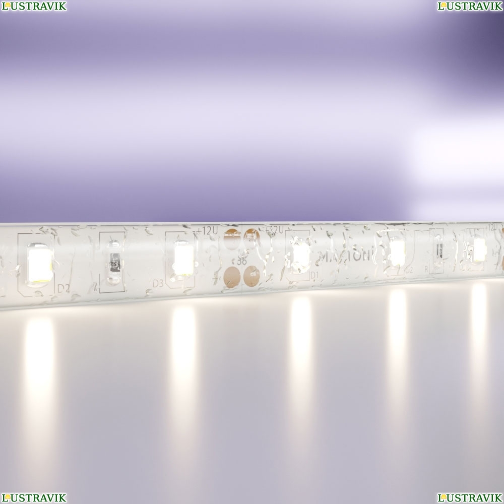 5М. Светодиодная Лента Белого Цвета 4000К, 7,2W, 12V, 60Led, Ip20 20005 ★ Maytoni — купить в интернет магазине ЛЮСТРАВИК☀