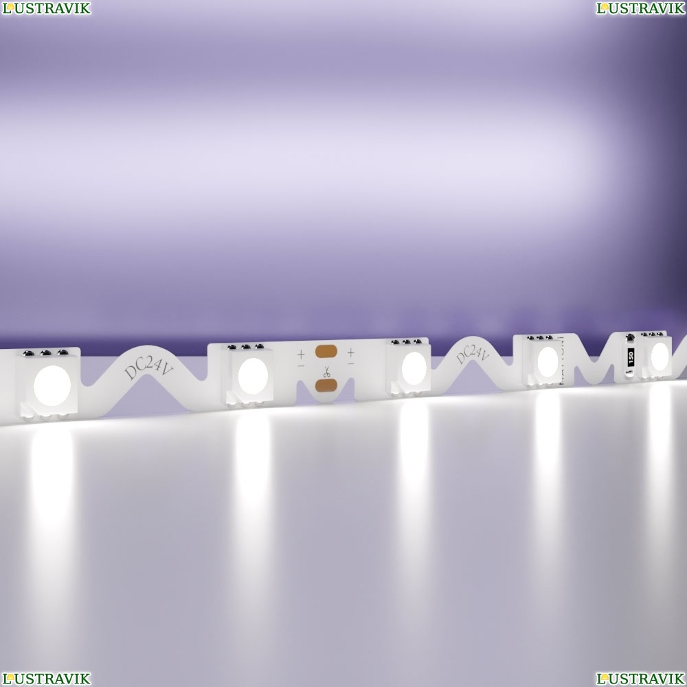5М. Светодиодная Лента Холодного Цвета 6000К, 12W, 24V, 60Led, Ip20 20046 ★ Maytoni — купить в интернет магазине ЛЮСТРАВИК☀