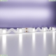 5М. Светодиодная Лента Холодного Цвета 6000К, 12W, 24V, 60Led, Ip20 20046 ★ Maytoni — купить в интернет магазине ЛЮСТРАВИК☀